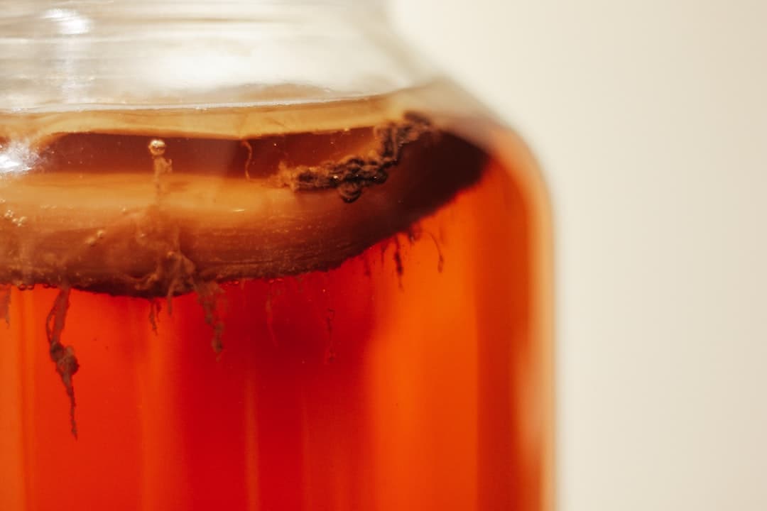 Thermomix Kombucha Tee